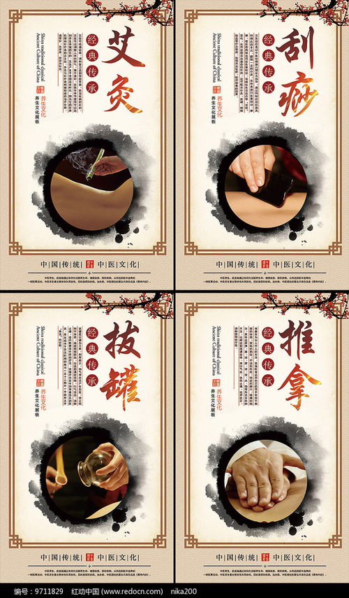 中醫(yī)養(yǎng)生智慧 艾灸保健展板設(shè)計鑒賞與養(yǎng)生服務(wù)指南